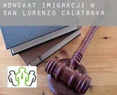 Adwokat imigracji w  San Lorenzo de Calatrava