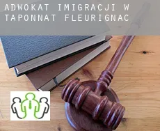 Adwokat imigracji w  Taponnat-Fleurignac