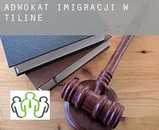 Adwokat imigracji w  Tiline