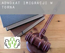 Adwokat imigracji w  Torna