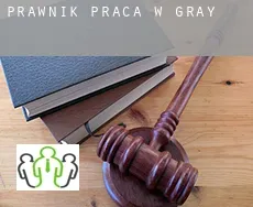 Prawnik praca w  Gray