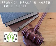 Prawnik praca w  North Eagle Butte