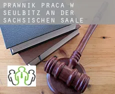 Prawnik praca w  Seulbitz an der Sächsischen Saale