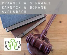 Prawnik w sprawach karnych w  Domäne Avelsbach