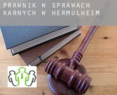 Prawnik w sprawach karnych w  Hermülheim