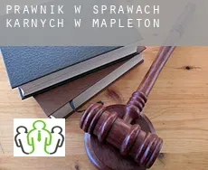 Prawnik w sprawach karnych w  Mapleton