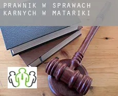 Prawnik w sprawach karnych w Matariki