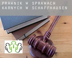 Prawnik w sprawach karnych w  Schaffhausen