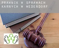 Prawnik w sprawach karnych w  Wedendorf