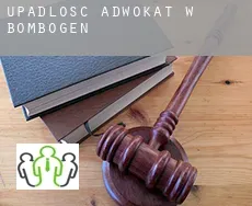 Upadłość adwokat w  Bombogen