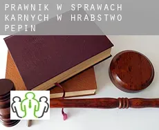 Prawnik w sprawach karnych w  Hrabstwo Pepin