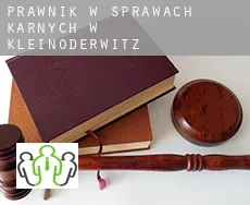 Prawnik w sprawach karnych w  Kleinoderwitz