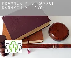 Prawnik w sprawach karnych w  Leych