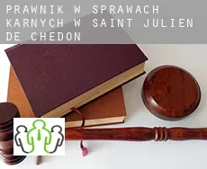 Prawnik w sprawach karnych w  Saint-Julien-de-Chédon