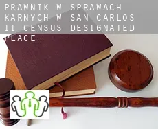 Prawnik w sprawach karnych w  San Carlos II