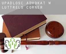 Upadłość adwokat w  Luttrels Corner