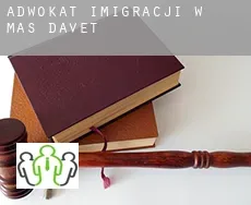 Adwokat imigracji w  Mas Davet