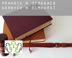 Prawnik w sprawach karnych w  Elmhurst