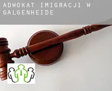 Adwokat imigracji w  Galgenheide