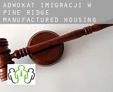 Adwokat imigracji w  Pine Ridge Manufactured Housing Community