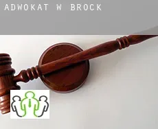 Adwokat w  Brock