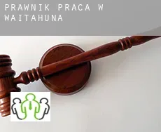 Prawnik praca w  Waitahuna