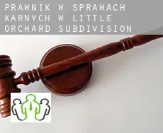 Prawnik w sprawach karnych w  Little Orchard Subdivision