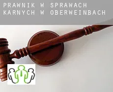 Prawnik w sprawach karnych w  Oberweinbach