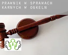 Prawnik w sprawach karnych w  Ogkeln