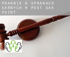 Prawnik w sprawach karnych w  Post Oak Point