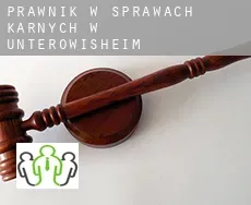 Prawnik w sprawach karnych w  Unteröwisheim