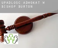 Upadłość adwokat w  Bishop Burton