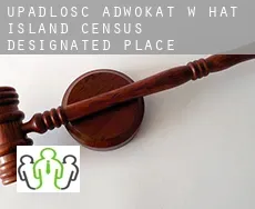Upadłość adwokat w  Hat Island