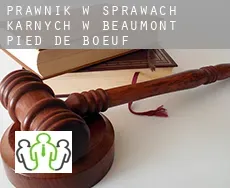 Prawnik w sprawach karnych w Beaumont-Pied-de-Bœuf