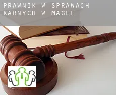 Prawnik w sprawach karnych w  Magee