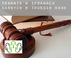 Prawnik w sprawach karnych w  Thunder Hawk
