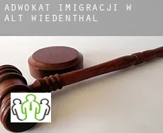 Adwokat imigracji w  Alt Wiedenthal