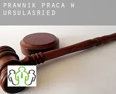 Prawnik praca w  Ursulasried