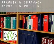 Prawnik w sprawach karnych w Prestine