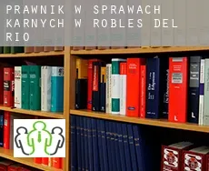 Prawnik w sprawach karnych w  Robles Del Rio