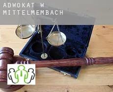 Adwokat w  Mittelmembach