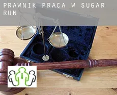 Prawnik praca w  Sugar Run