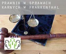 Prawnik w sprawach karnych w  Frankenthal