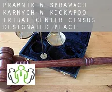 Prawnik w sprawach karnych w  Kickapoo Tribal Center