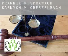 Prawnik w sprawach karnych w  Obererlbach