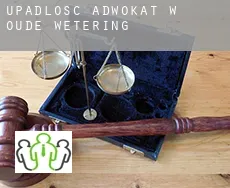 Upadłość adwokat w  Oude Wetering