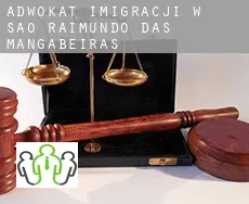 Adwokat imigracji w  São Raimundo das Mangabeiras
