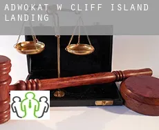 Adwokat w  Cliff Island Landing