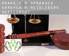 Prawnik w sprawach karnych w  Heidleberg Settlement
