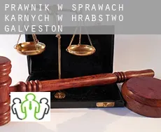 Prawnik w sprawach karnych w  Hrabstwo Galveston